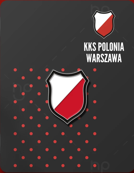 pins.png